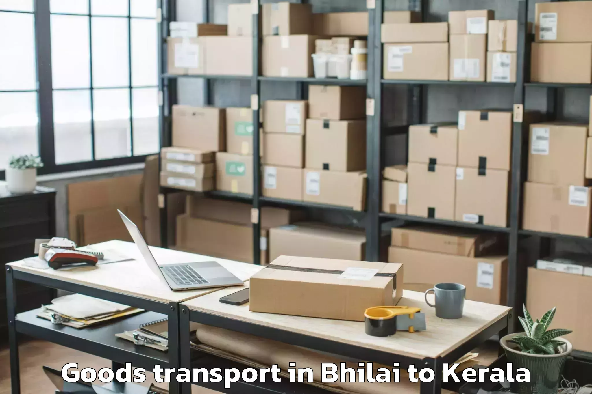 Quality Bhilai to Nenmara Goods Transport